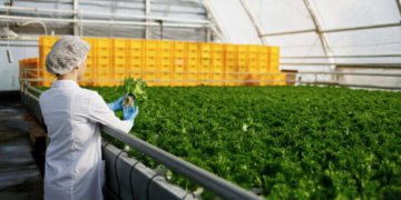 Morocco agri-food industry