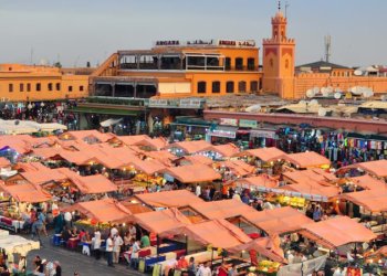 Things to Do in Marrakech and Region
