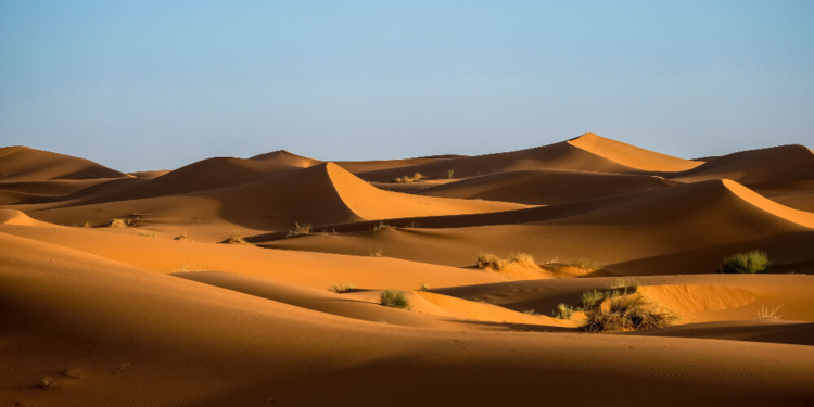 Things to Do in Morocco Experiencing the Best of Morocco
