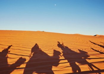 Exploring the Best Cities in Morocco