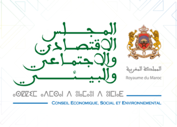 Conseil Économique Social et Environnemental