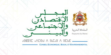 Conseil Économique Social et Environnemental
